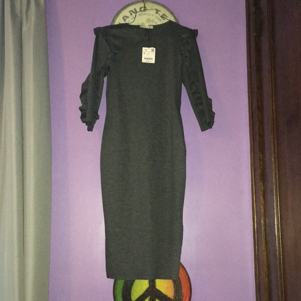 Zara Trafaluc Dress